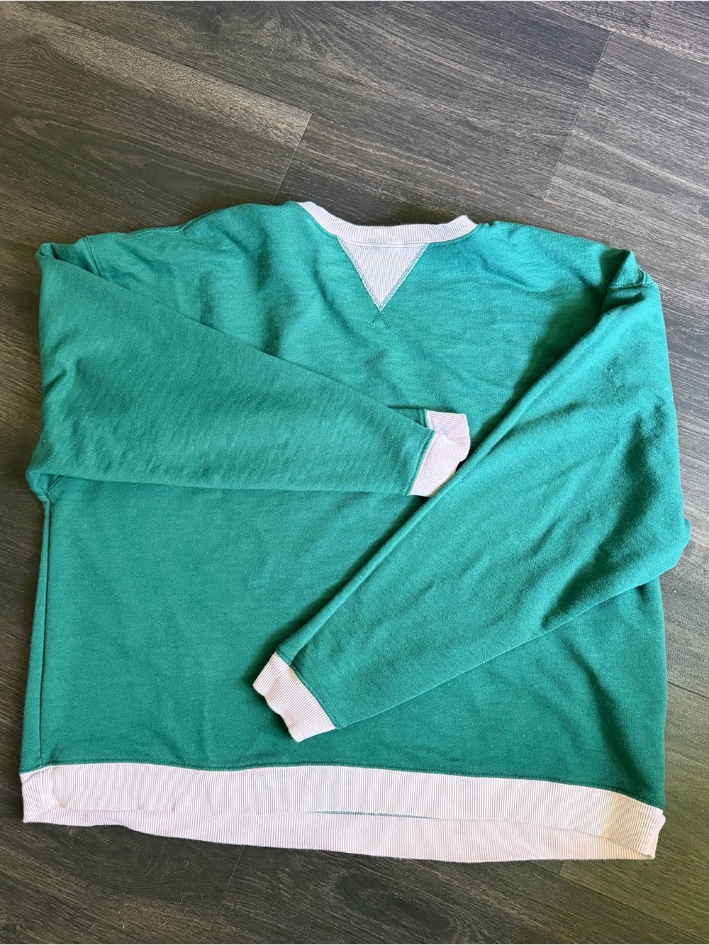 Free People Colorblock Classic Crewneck Sweatshirt